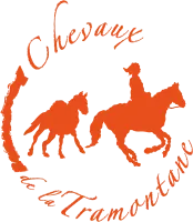Balade à cheval
